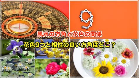 方角色風水|風水の方角8つと相性が良い花色9つ 【金運アップは。